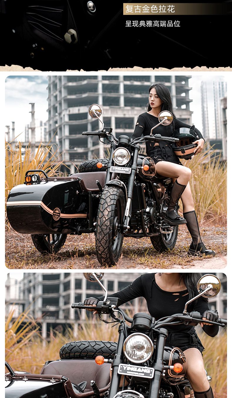 银钢悍路者300（黑色）产品详情（14）